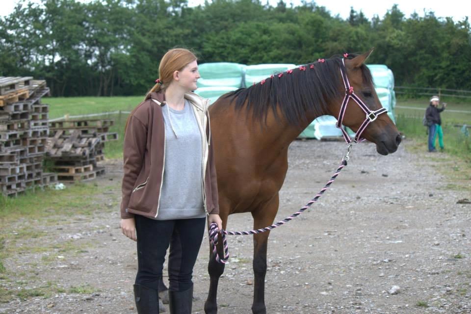 DSP Reb'l Fleur - Stævne på Nyt Hesteliv d. 8/6-13 billede 19