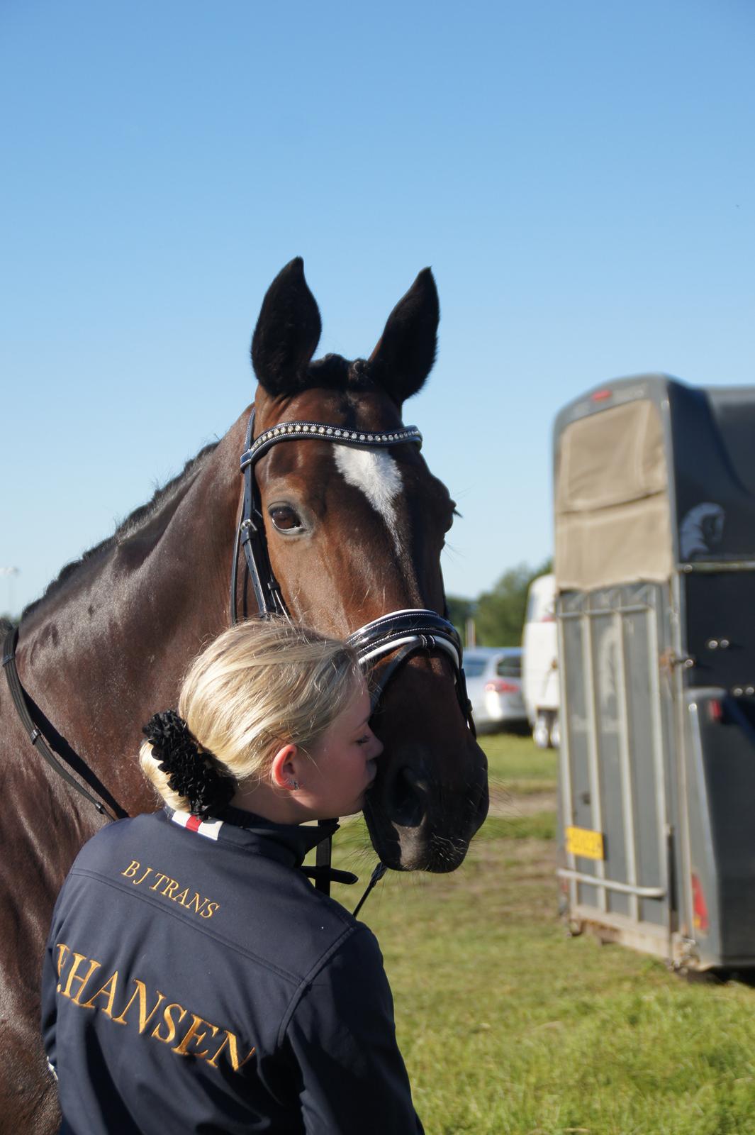 Dansk Varmblod Diva Vogt - Min søde Div <3 billede 20