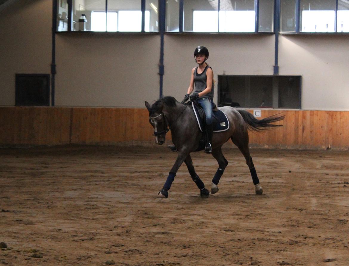 DSP Spotlight's Kira *LÅNE HEST* - Afsted det går :D billede 3