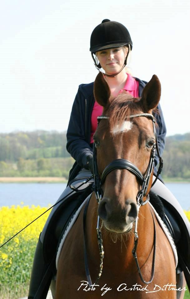 Dansk Varmblod Agenda billede 2