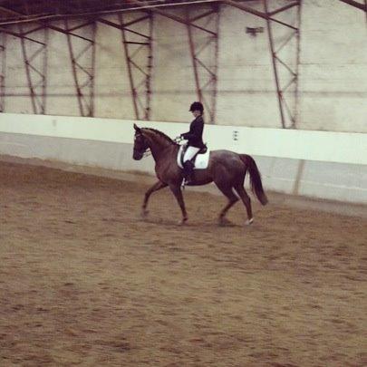 Dansk Varmblod Agenda - Vores strævnedebut :-) billede 6