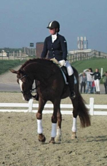 Dansk Varmblod Skovlund´s May-Dancer billede 11