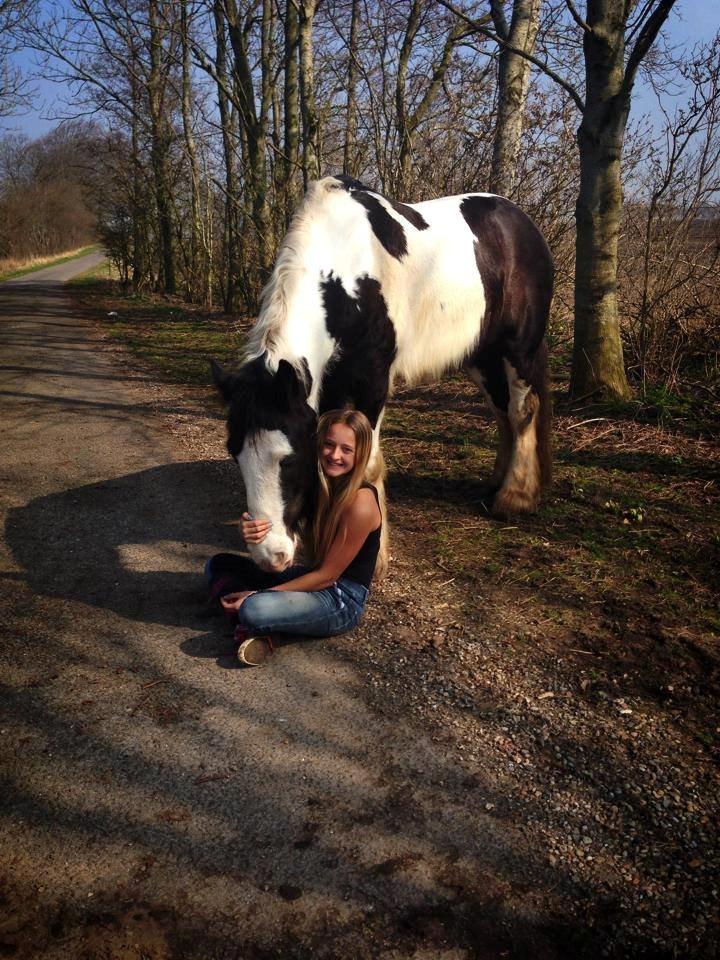 Tinker Aiden billede 8