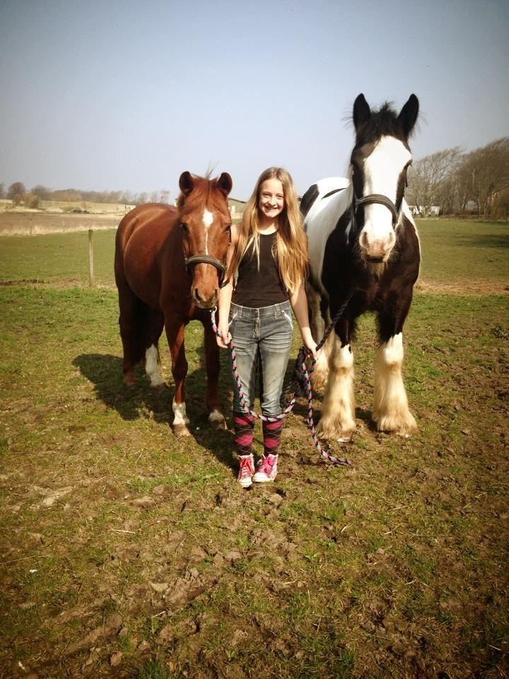 Tinker Aiden billede 9