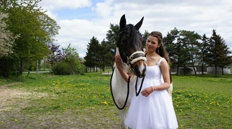 Pinto Gaasdal's Dushess *dysse* My everything billede 2