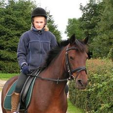 New Forest Beauty   *solgt*