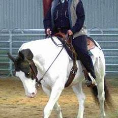 Paint Charlies White Iron