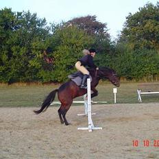 Anden særlig race Fiona*SOLGT*