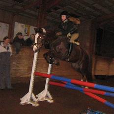 Anden særlig race Tilde