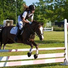Anden særlig race Tilde