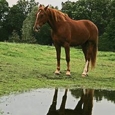 Frederiksborg Engkildegårds Asmun