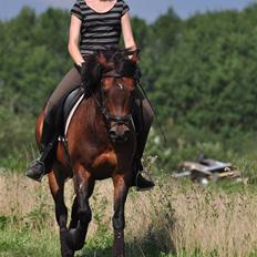 Anden særlig race Simba <3