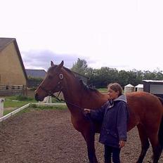 Anden særlig race Fmr´s Sofie (har Passet)