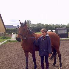 Anden særlig race Fmr´s Sofie (har Passet)