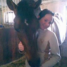 Dansk Varmblod La Bryere