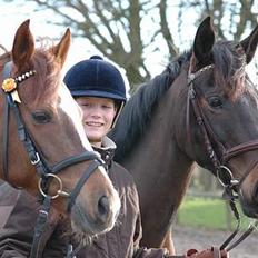 Welsh Pony (sec B) Mayke (Solgt)