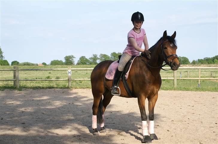 DSP Gloria Søblink - Skønneste Gloria - Pretty in Pink :) billede 1