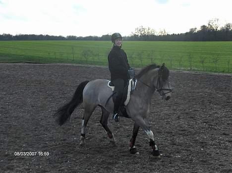 Anden særlig race silas<3<3 ***Solgt*** - dressur marts 2007 billede 18