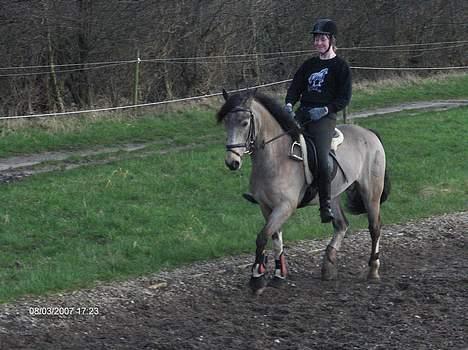 Anden særlig race silas<3<3 ***Solgt*** - dressur marts 2007 billede 19