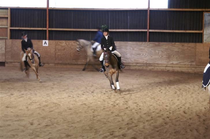 DSP Gloria Søblink - Til stævne på KIR, Januar 2008 billede 4