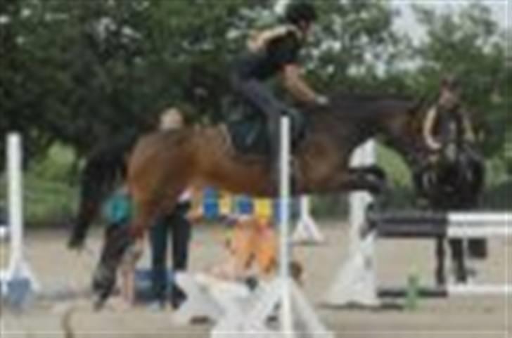 DSP Gloria Søblink - Springkursus 09 :) billede 5