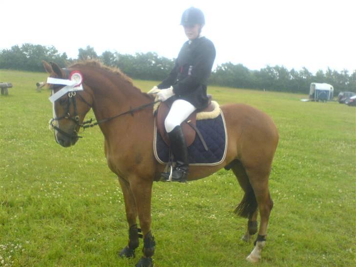 Anden særlig race Aschia - SOLGT - 1. plads i Maxi i kragelund 24. Juni 07 .. 25  sek. i omspringningen :D billede 1