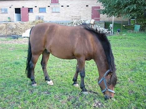 Anden særlig race Tayson<3 - Tyksakken æder... <3 billede 5