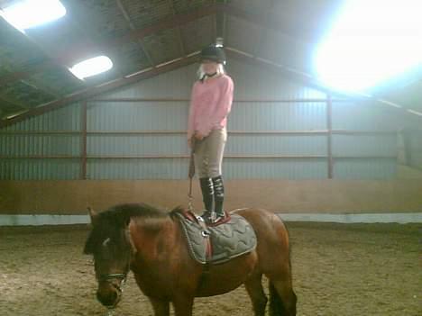 Anden særlig race Tayson<3 - Her er det så mig, der står på ryggen af Tayson... Super sjovt... billede 11