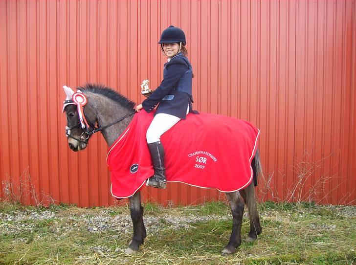 Amerikansk Pony Springer Smokey SOLGT !! - 1)   Championatsvinder 2007 mega glad fik 246 point :´) billede 1