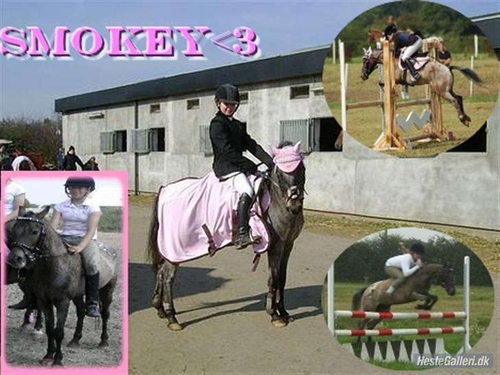 Amerikansk Pony Springer Smokey SOLGT !! - lavet af Mie Gram (er også her inde) 1000 tak ;) billede 6