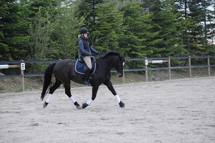 Oldenborg Salina - Velkommen til Salina - eller flodhestens profil ;P billede 1