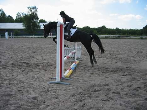 Oldenborg Salina - Salina sommer 2006 billede 3