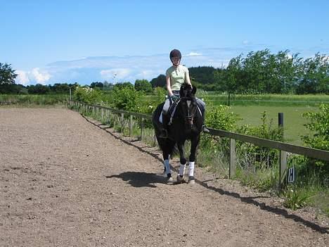 Oldenborg Salina - Da jeg var ude og prøve hende billede 4