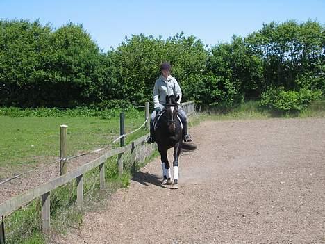 Oldenborg Salina - igen prøvning billede 5