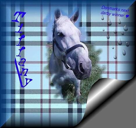 Anden særlig race Tiffany - Lavet af Signe. billede 12