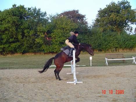 Anden særlig race Fiona*SOLGT* - stort stort spring heh? billede 1