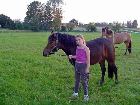 Anden særlig race Fiona*SOLGT* - Første gang jeg havde fiona hjemme ,, havde lige købt hende der billede 8