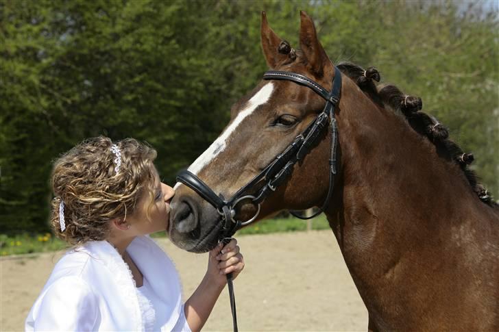 Anden særlig race Malaika R.I.P - Fra min konfrimation <3 26. april 2008 billede 14