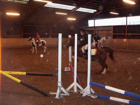 Anden særlig race Snoopy - Elevpony - opvarmning LD<3  Se hvor langt han springer!?!?!?! billede 6