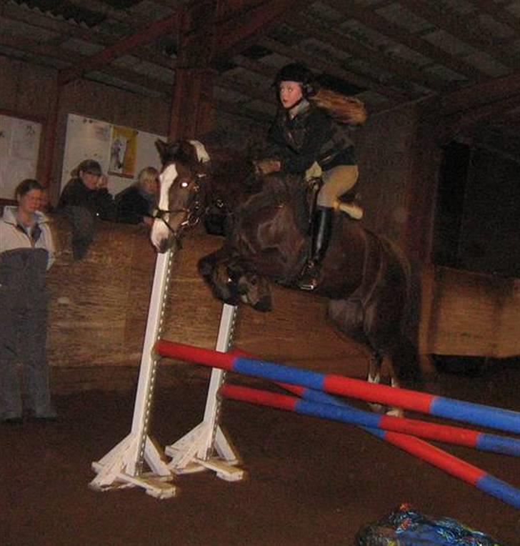 Anden særlig race Tilde - Tilde til springundervisning :D billede 1