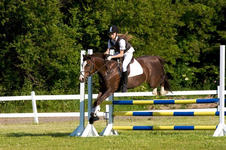 Anden særlig race Tilde - Tilde <3 billede 2