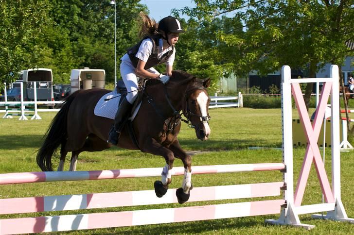 Anden særlig race Tilde - Tilde stævne i Juni. 2.plads i LC og 2. plads i LB <3 billede 3