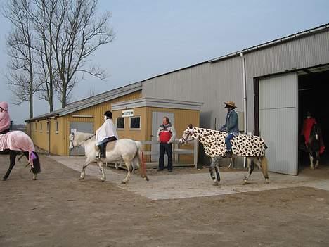 DSP Mahogni - Solgt - Fastalavn 2007 .. Mig og mahogni som ko og cowboy :) hihi . vandt bedst udklædt.. billede 5