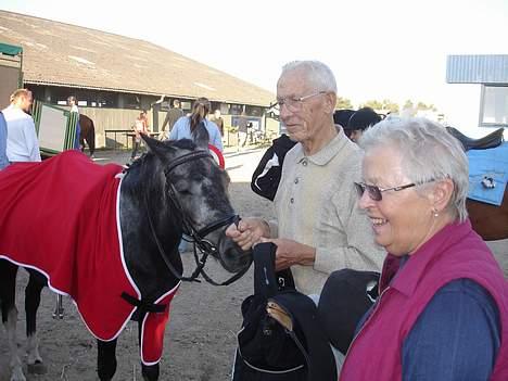 Anden særlig race Lucky /solgt - en glad farmor og farfar og så kære Lucky billede 11