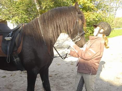 Frieser Hotse - † R.I.P † - Et eneste billede blev det til af mig og Hotte sammen :´( billede 2