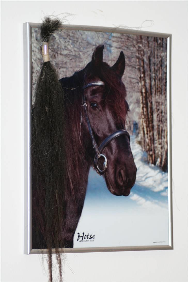 Frieser Hotse - † R.I.P † - Et billede af den fantastiske med et stykke man :´( Miss you ! (A-P billede) billede 5