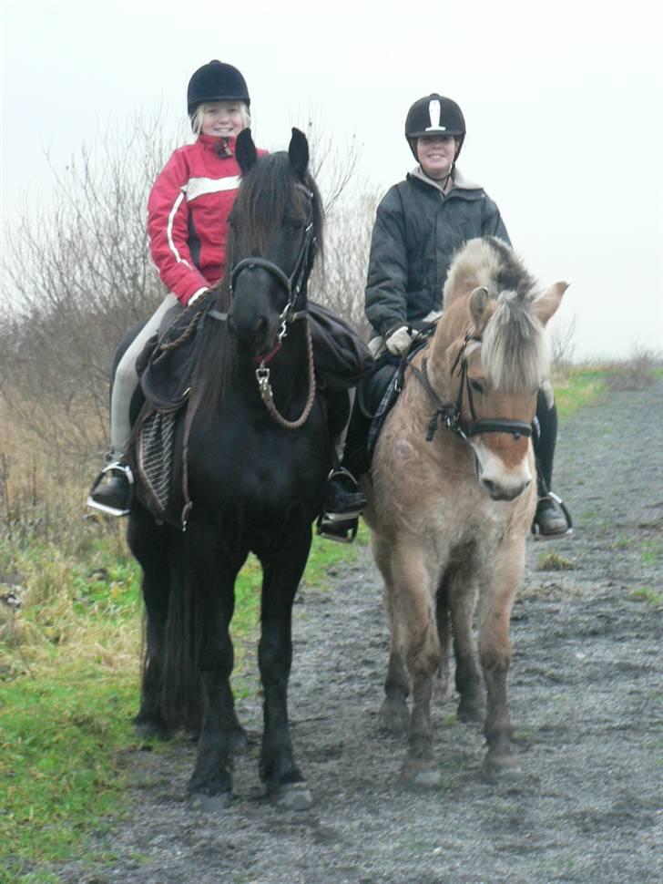 Frieser Hotse - † R.I.P † - Hotse og Asterix i Hedeland (:  billede 7
