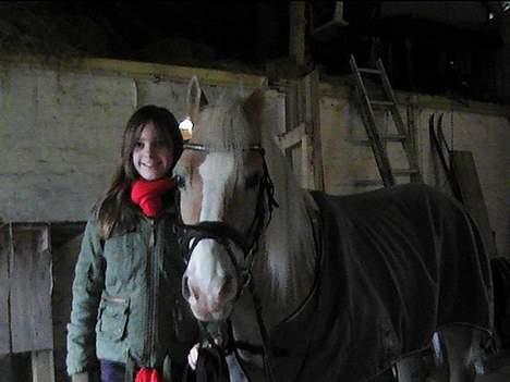 Haflinger Felix - mig og felix inde i stalden:D  billede 10