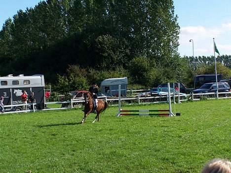 Anden særlig race Snoopy - Elevpony - på vej rundt på banen<3 billede 8