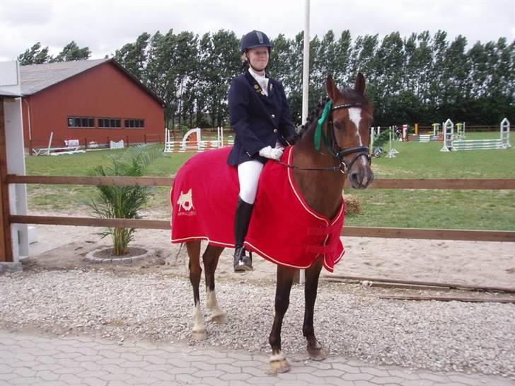 Tysk Sportspony Magic   - Min første PRI 65% B-pony & Nr 4 hvor svært kan det være:D:D:D:D(Fotograf ~Nete&Sanne~ ) billede 19